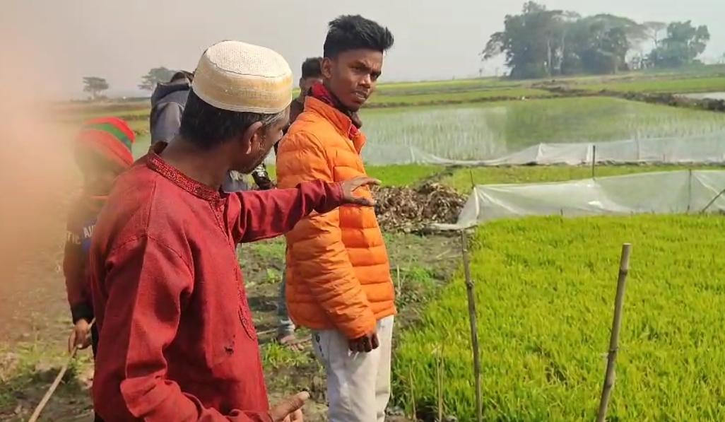 কাশিয়ানীতে বৈদ্যুতিক ফাঁদে দাদি-নাতিসহ তিনজনের মৃত্যু